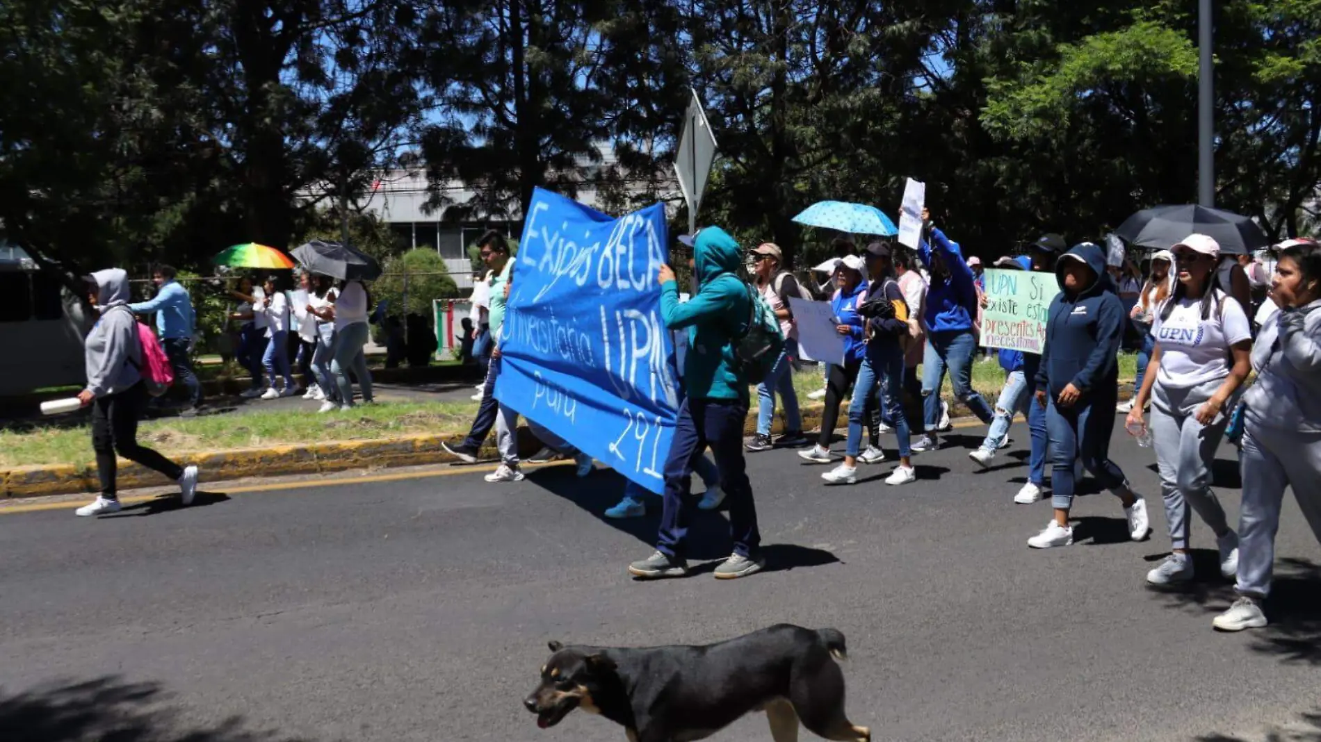 Protesta upn